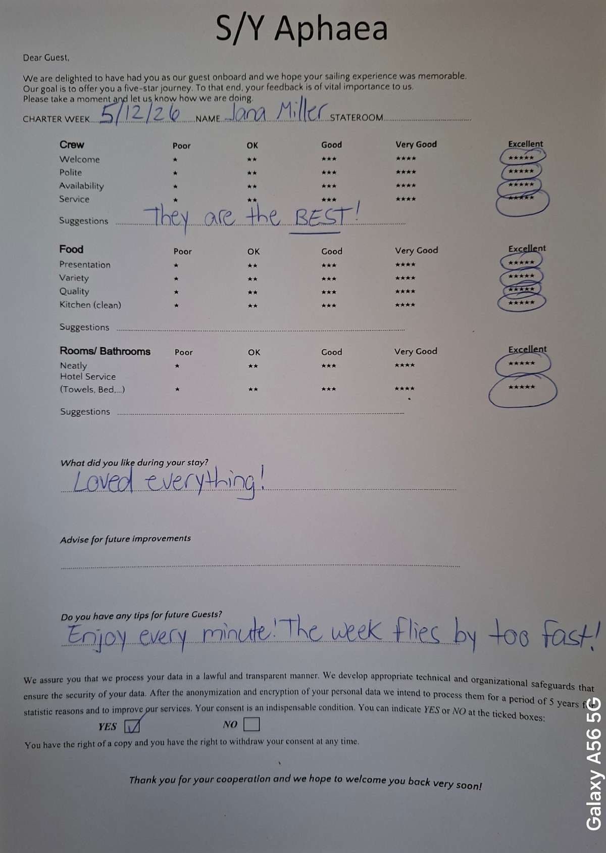 APHAEA guest review