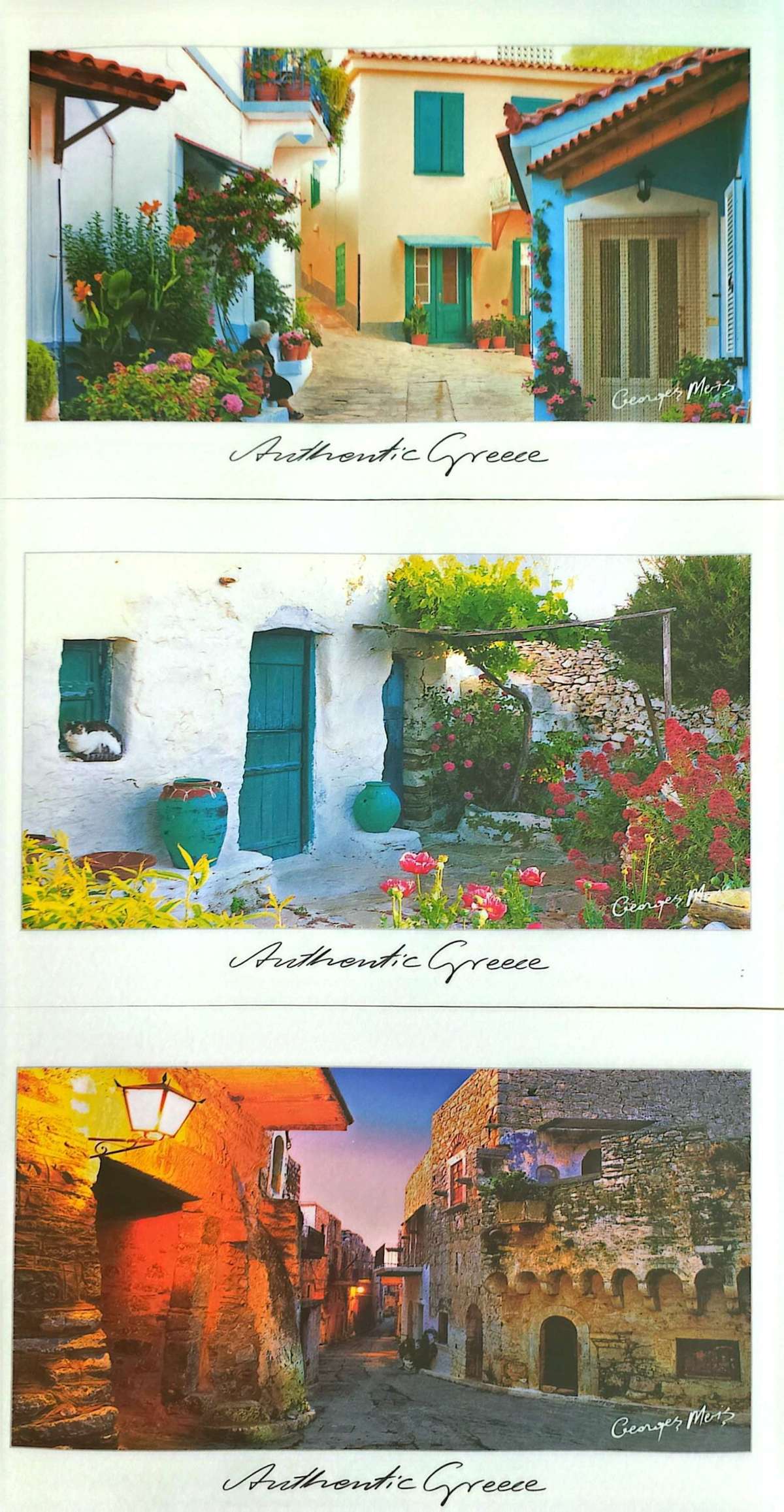 TiAmo guest review