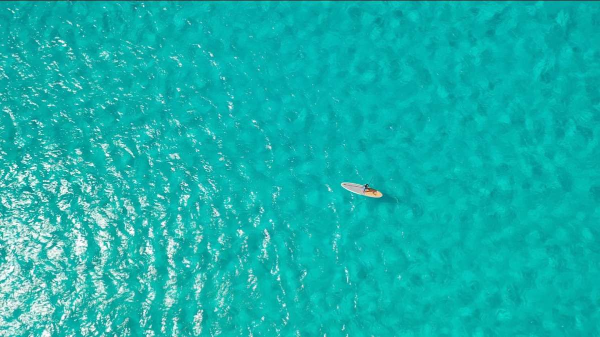 XANDROS guest review