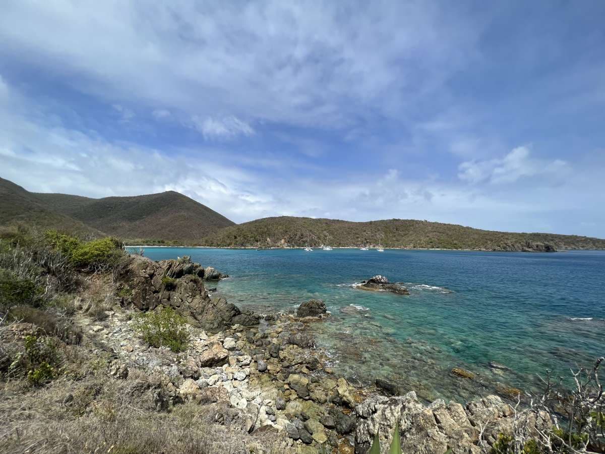 SCUBA DOO guest review
