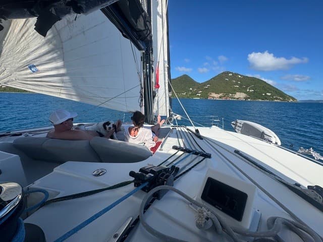 DRAGONFLY guest review