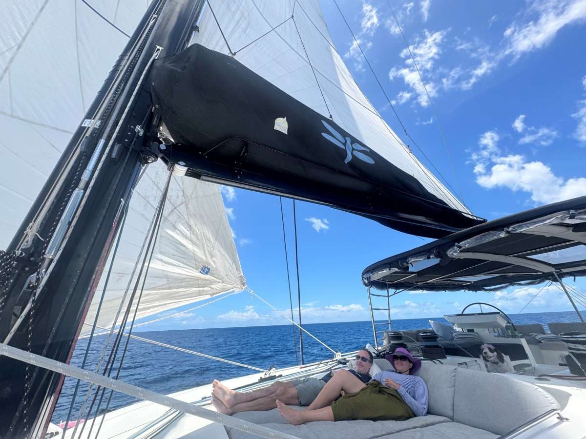 DRAGONFLY guest review