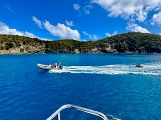 DRAGONFLY guest review