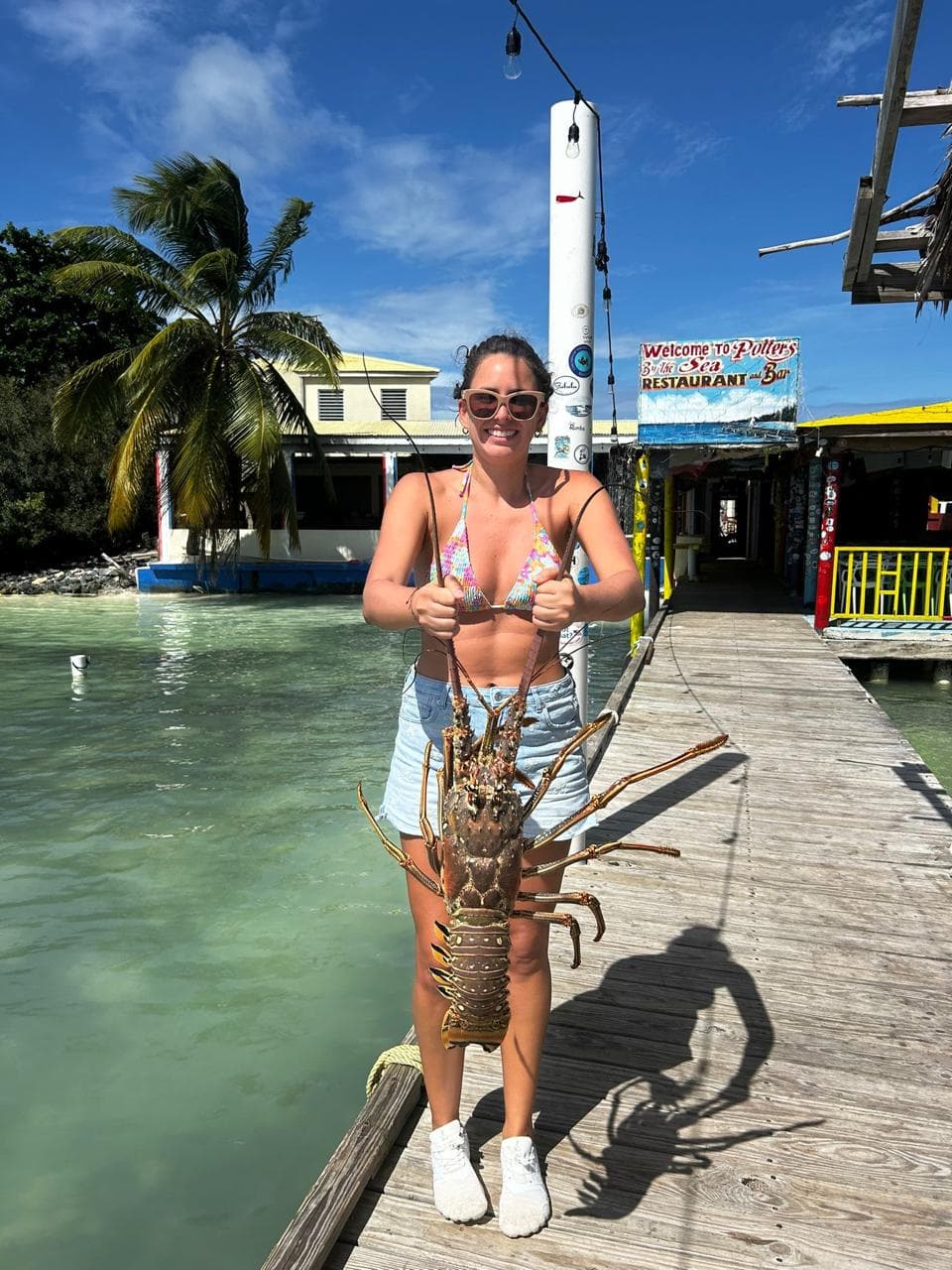 ABBY NORMAL TO guest review