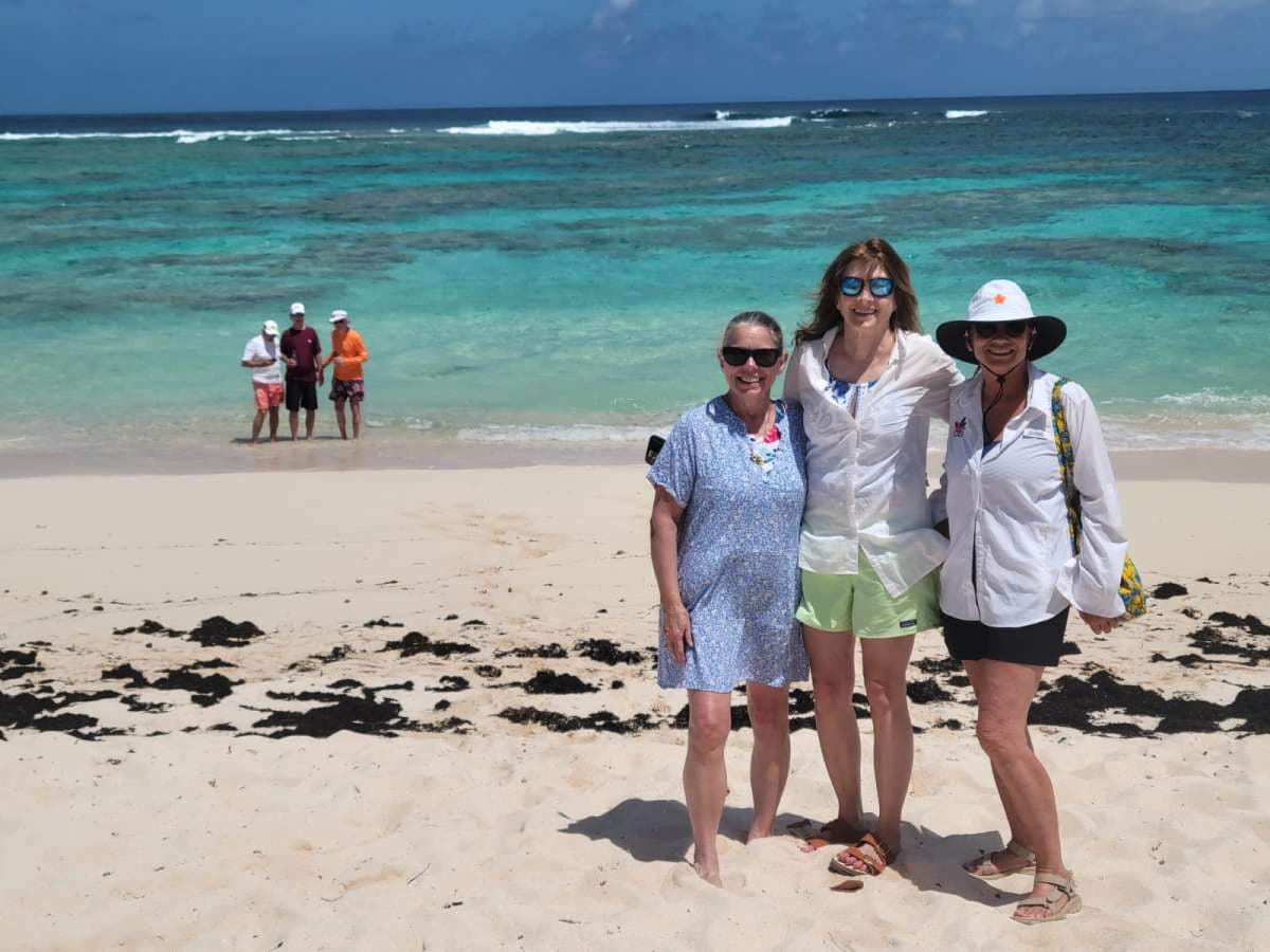KASIOPEJA guest review