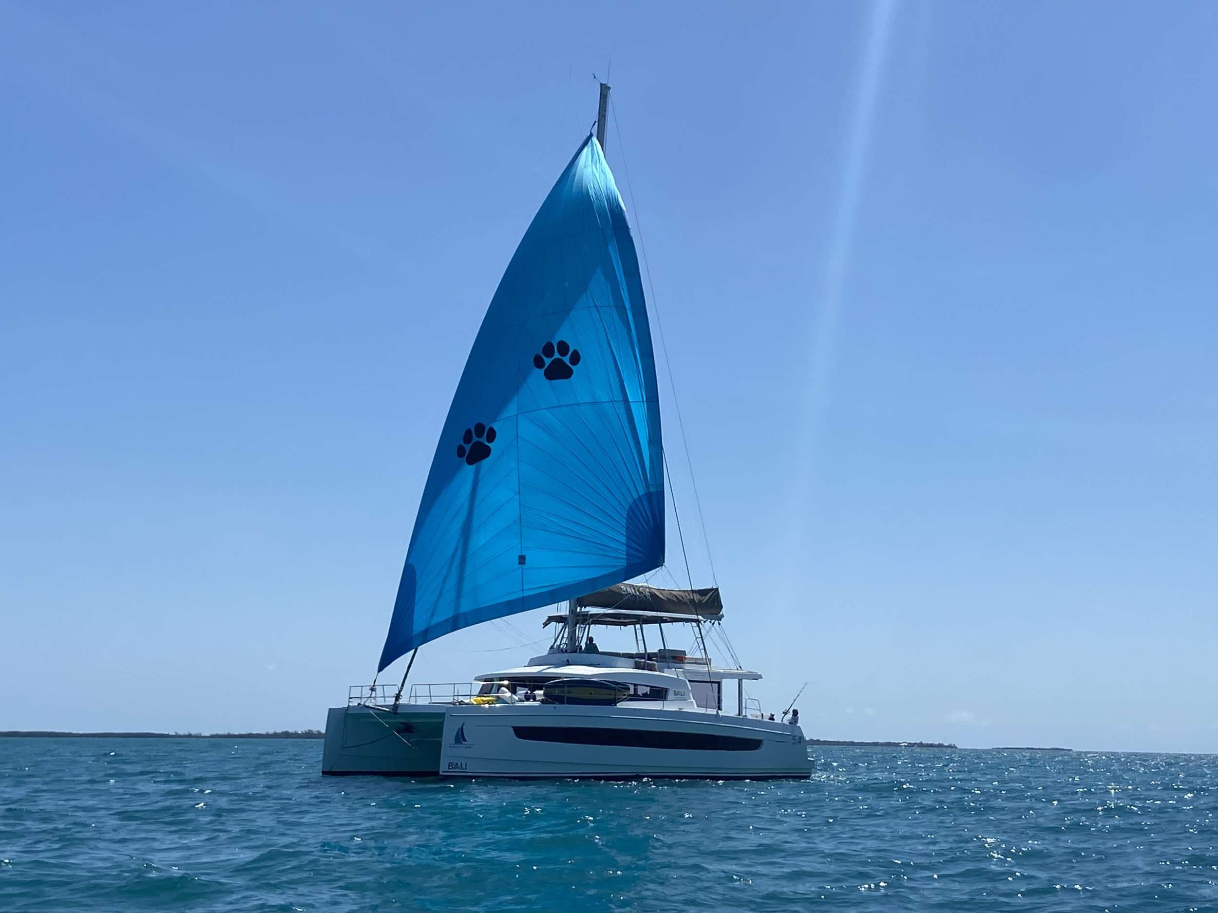 NAUTI DOGS 5.4 – Bali Catamarans