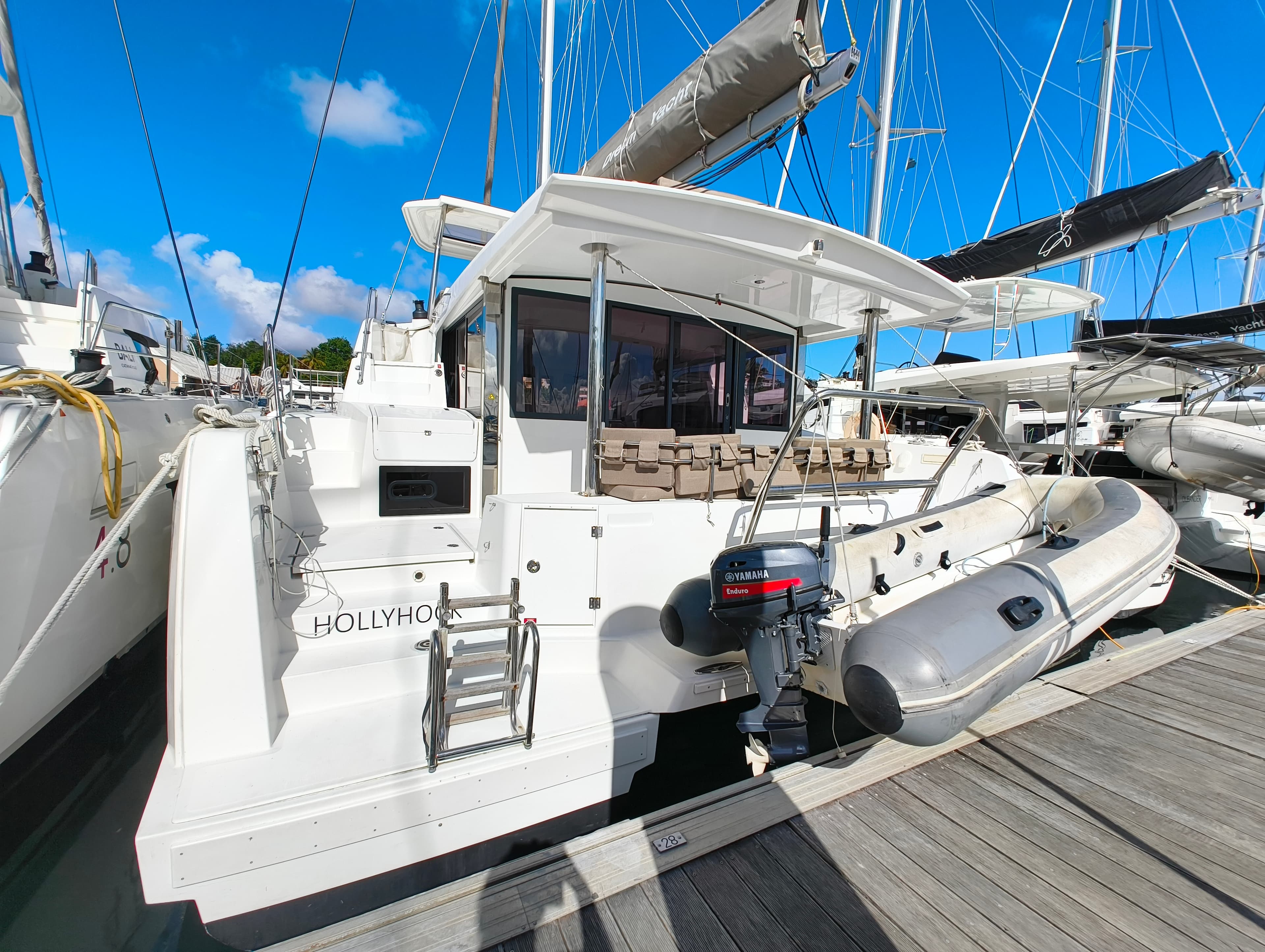 HOLLYHOCK – Catana Group