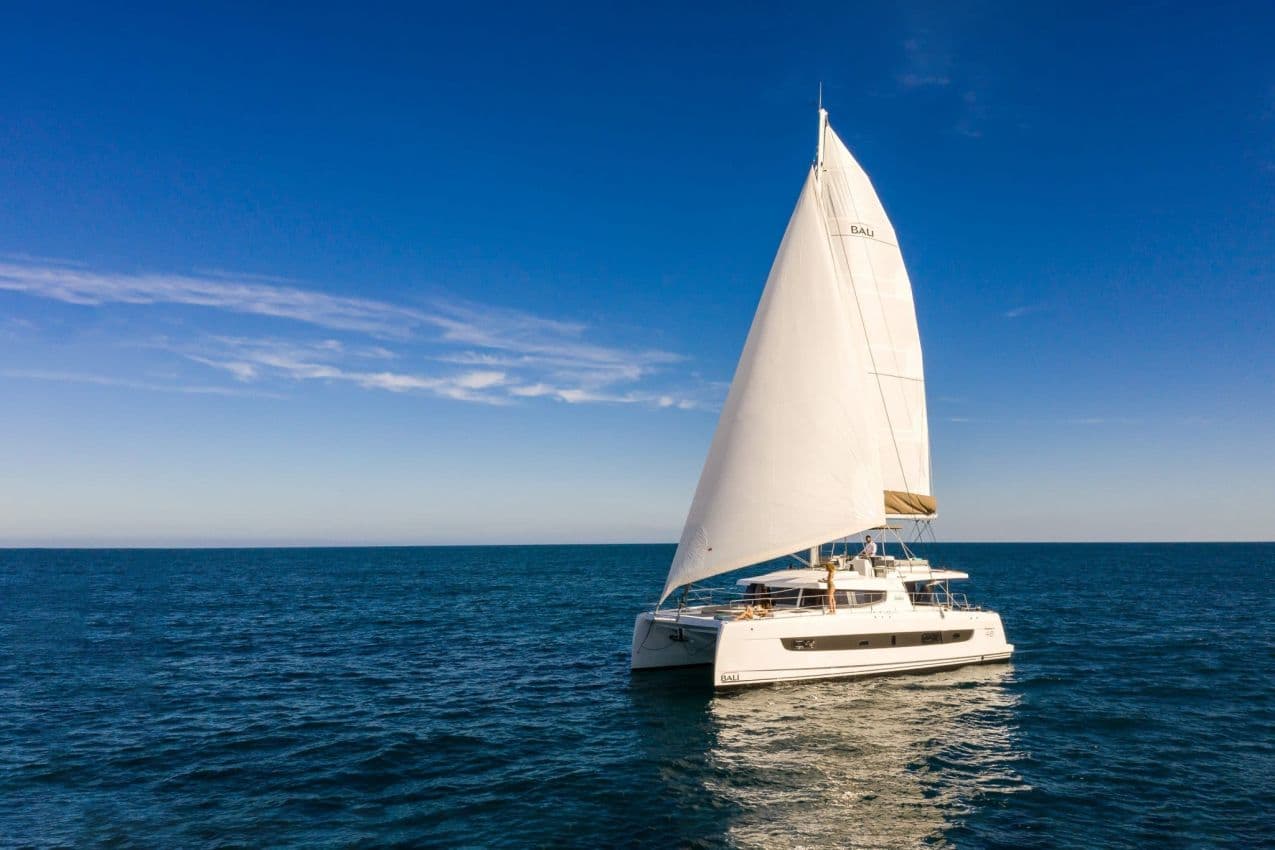 TERMEN – Catana Group