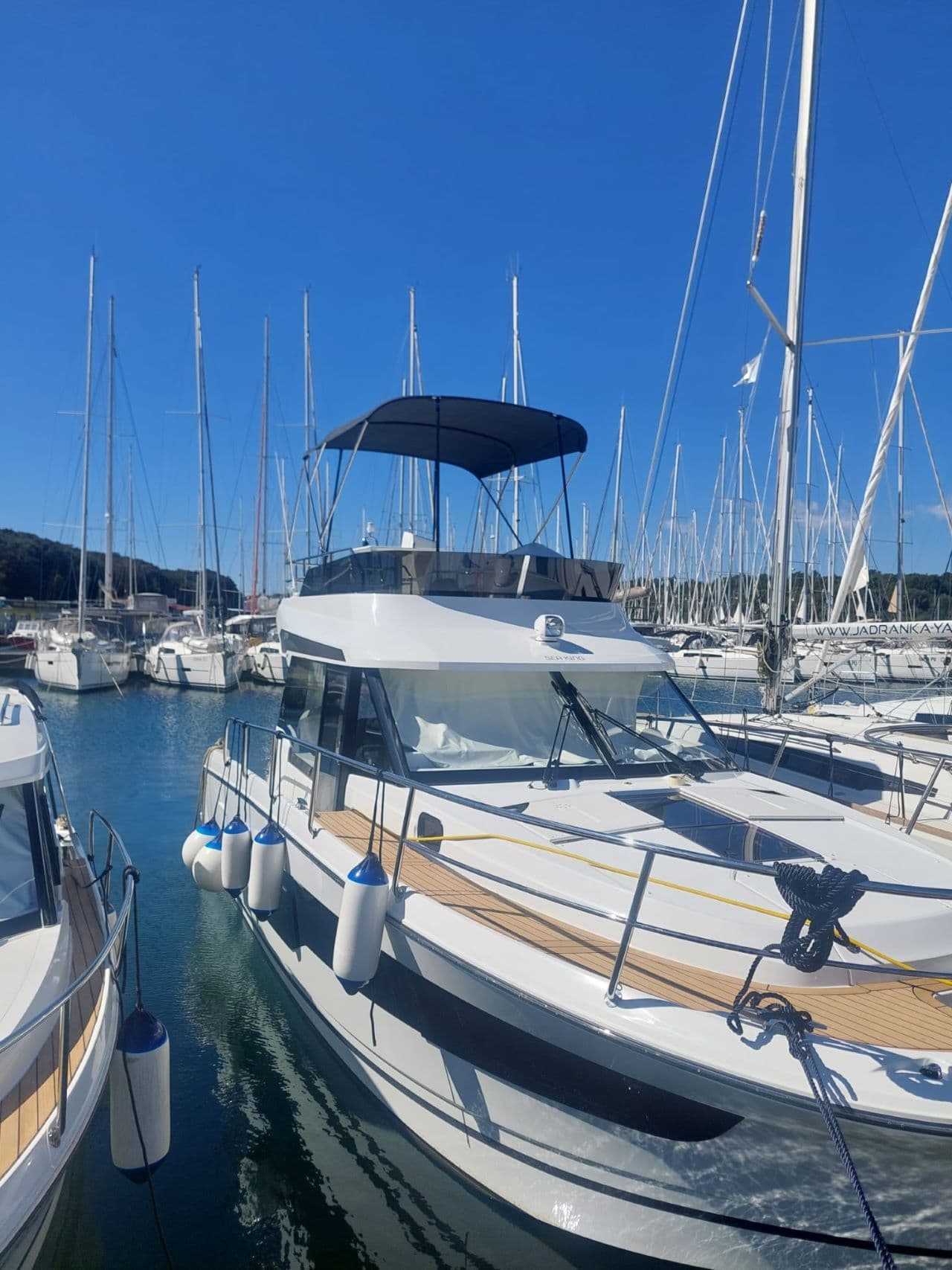 Sea King – Jeanneau