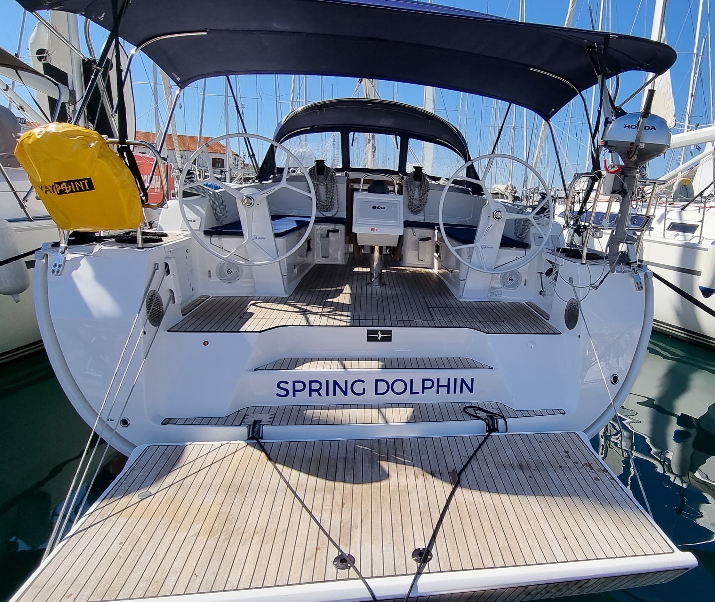 Spring Dolphin