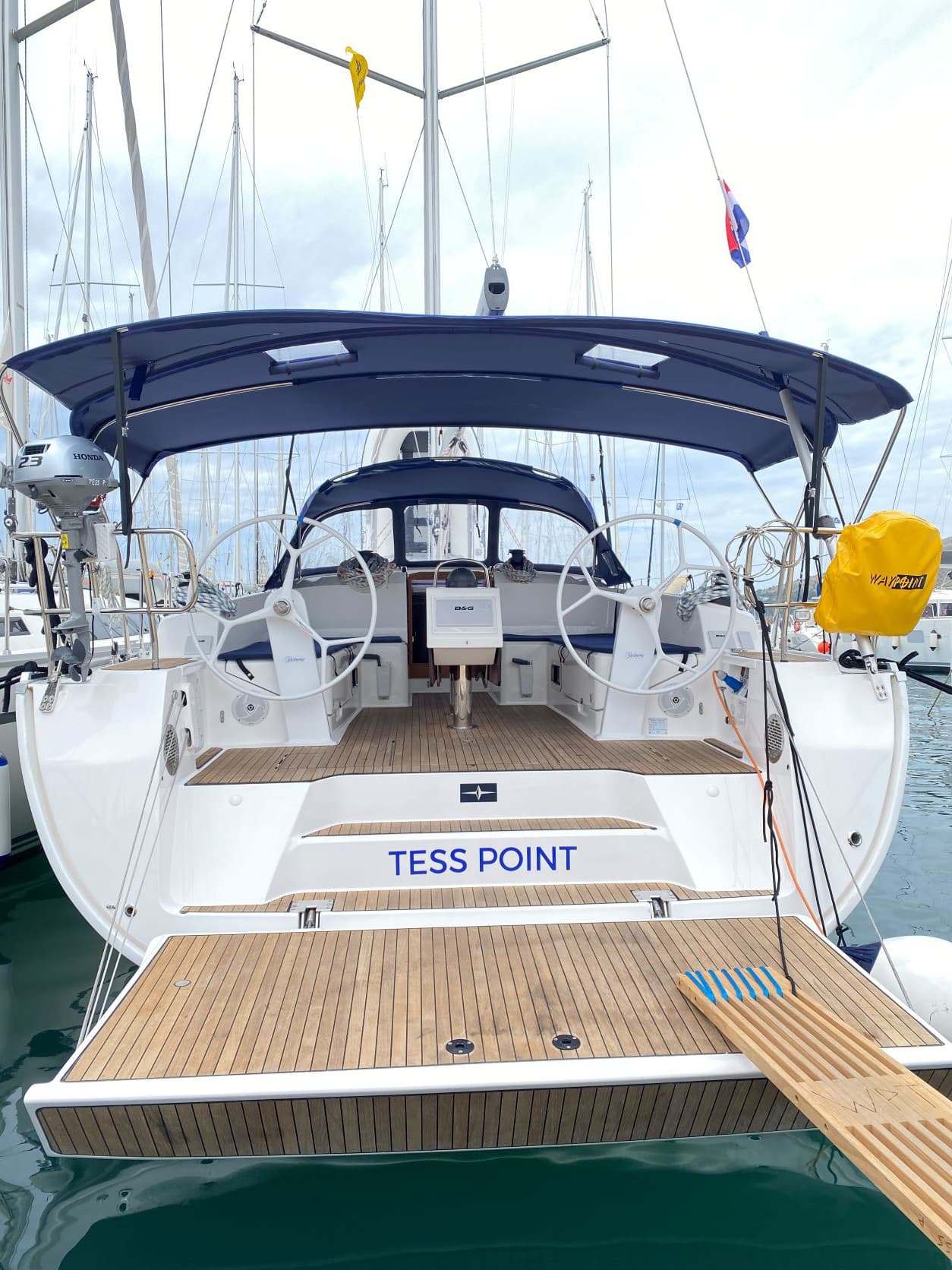 Tess Point