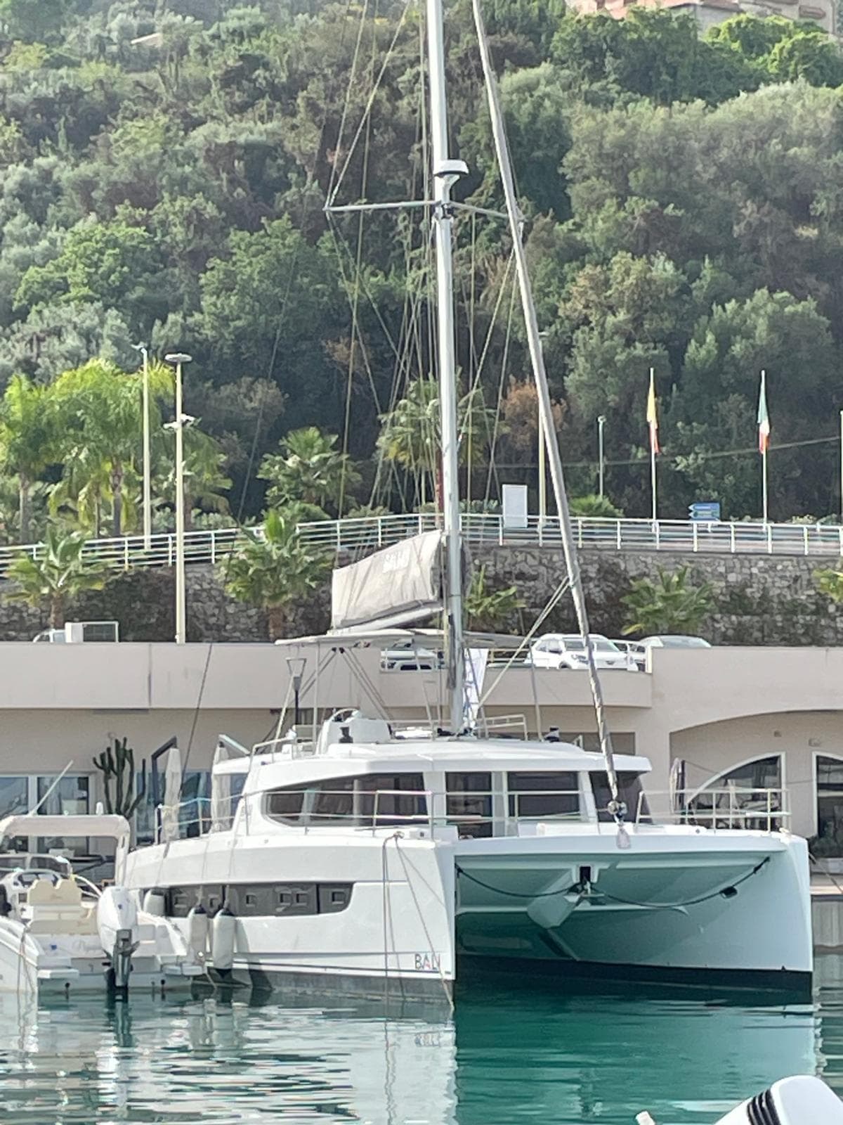 Silver Dolphin