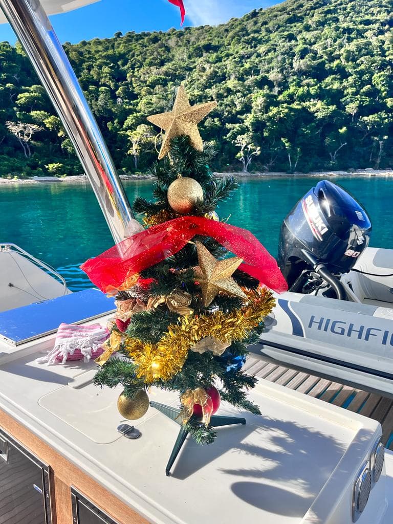 LISA OF THE SEAS guest review