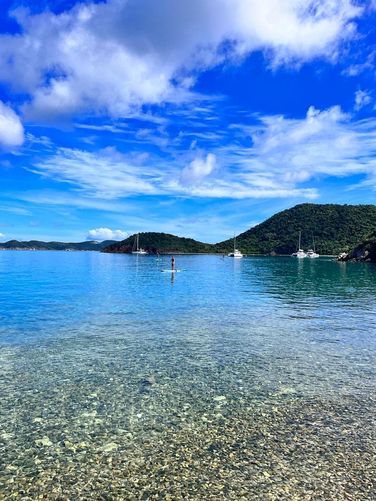 LISA OF THE SEAS guest review
