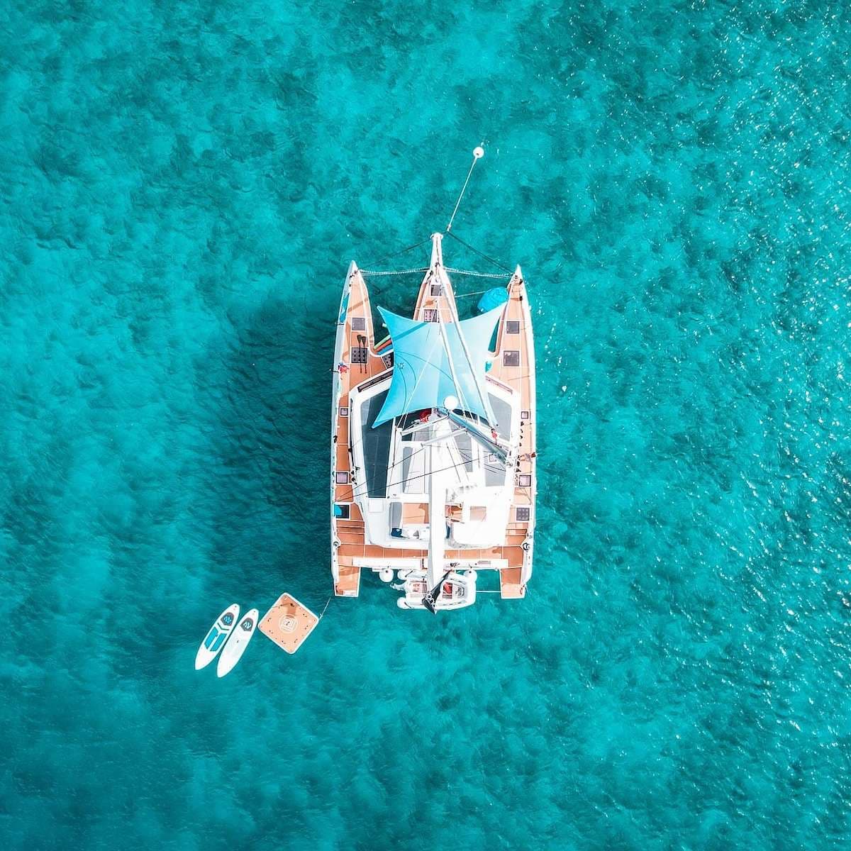 NEPTUNE'S ESCAPE